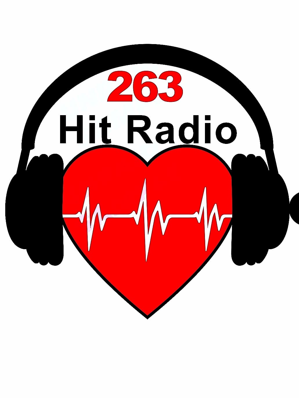 263 hit Radio Radio radio Logo